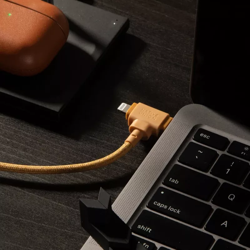 Native Union Belt Cable USB-C/USB-C cable