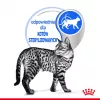 Wet cat food Royal Canin Indoor Sterilized 85 g pouch — adult indoor neutered, poultry flavor, pack 12 x 85 g