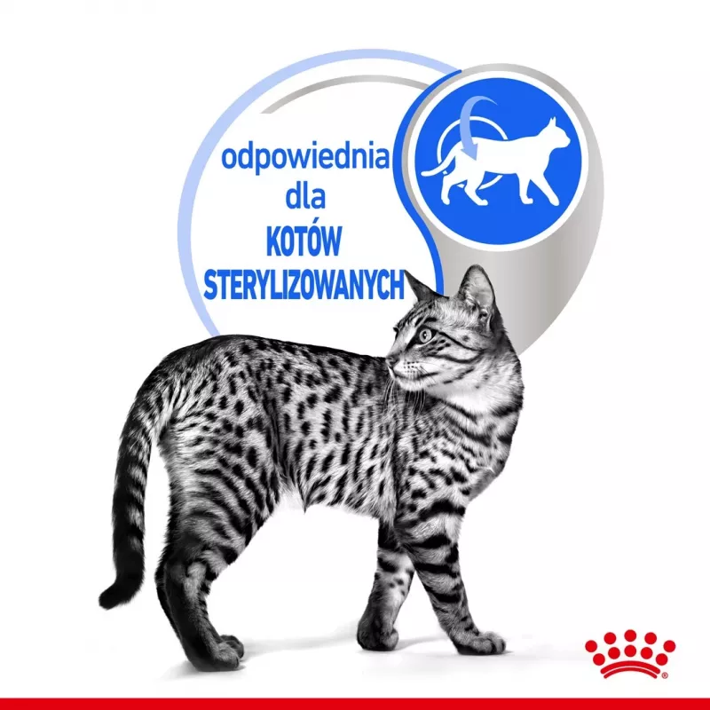 Wet cat food Royal Canin Indoor Sterilized 85 g pouch — adult indoor neutered, poultry flavor, pack 12 x 85 g