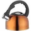 Kettle LAMART LT7003 2L stainless steel tea kettle with whistle, plastic handle and lid, Ø18 cm