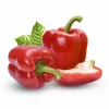 Seed Pellets Seklos LT Ożarowska Pepper 50 seeds (coated)