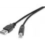 USB 2.0 cable Renkforce 1487688, 0.3 m, black, gold-plated contacts