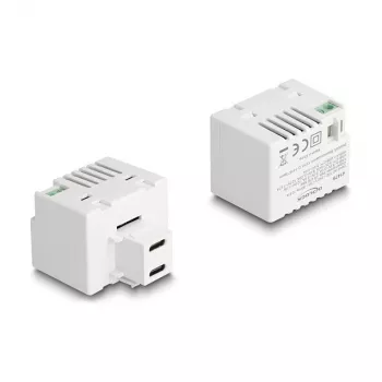 DeLOCK Keystone Module 41479 2 x USB Type-C PD 20W White