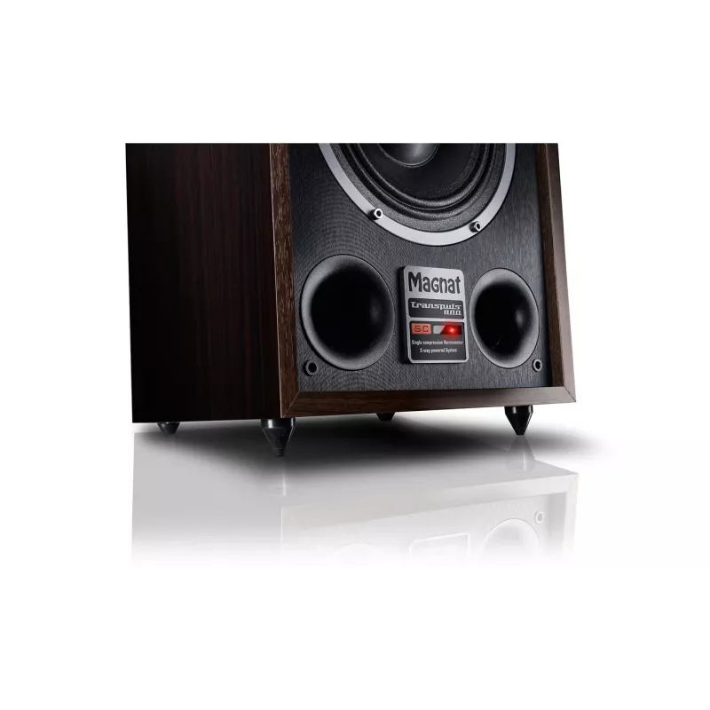 Floorstanding speaker Magnat TRANSPULS 800A 2-way wired & wireless 2×60 W, Bluetooth 5.0, HDMI, Black/Brown
