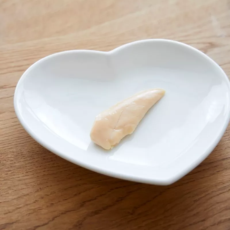 INABA Ciao Grilled Chicken Fillet in chicken flavored broth - cat treats - 25g