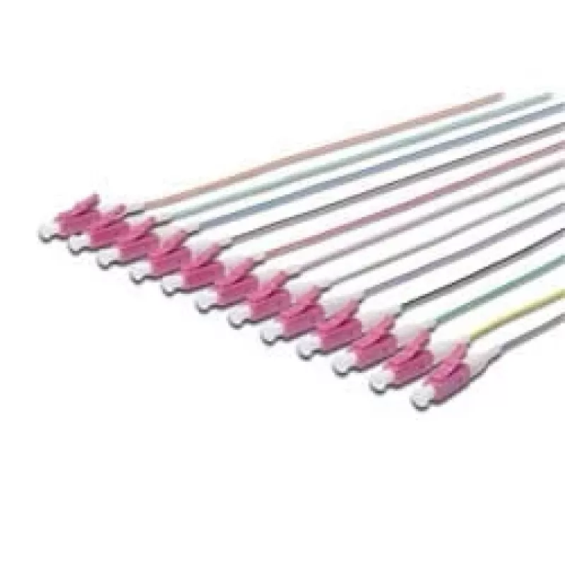 Fiber optic pigtails Digitus LC OM4 50/125 µ Simplex 2m