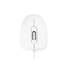 MODECOM M10 M-MC-0M10-200 Mouse (optisch, 1000 DPI, Weie Colour) (M-MC-0M10-200)