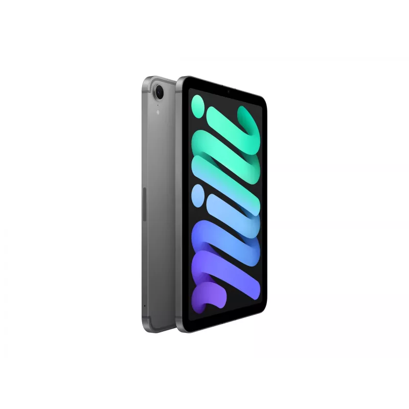 Apple iPad mini 5G TD-LTE & FDD-LTE 256 GB 21.1 cm (8.3) Wi-Fi 6E (802.11ax) iPadOS 18 Grey