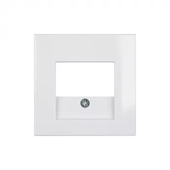 Wall plate / switch cover by berker, model 10338919, white, plastic, conventional design, 1-piece