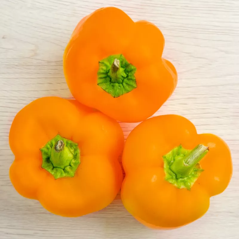 Vegetable seeds Seklos LT Papryka Etiuda — sweet pepper seeds pack 0.5 g