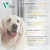 Multivitamin capsules VETEXPERT 30 pcs for dogs and cats – vitality, joint support, preservative- and gluten-free