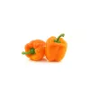 Vegetable seeds Seklos LT Papryka Etiuda — sweet pepper seeds pack 0.5 g