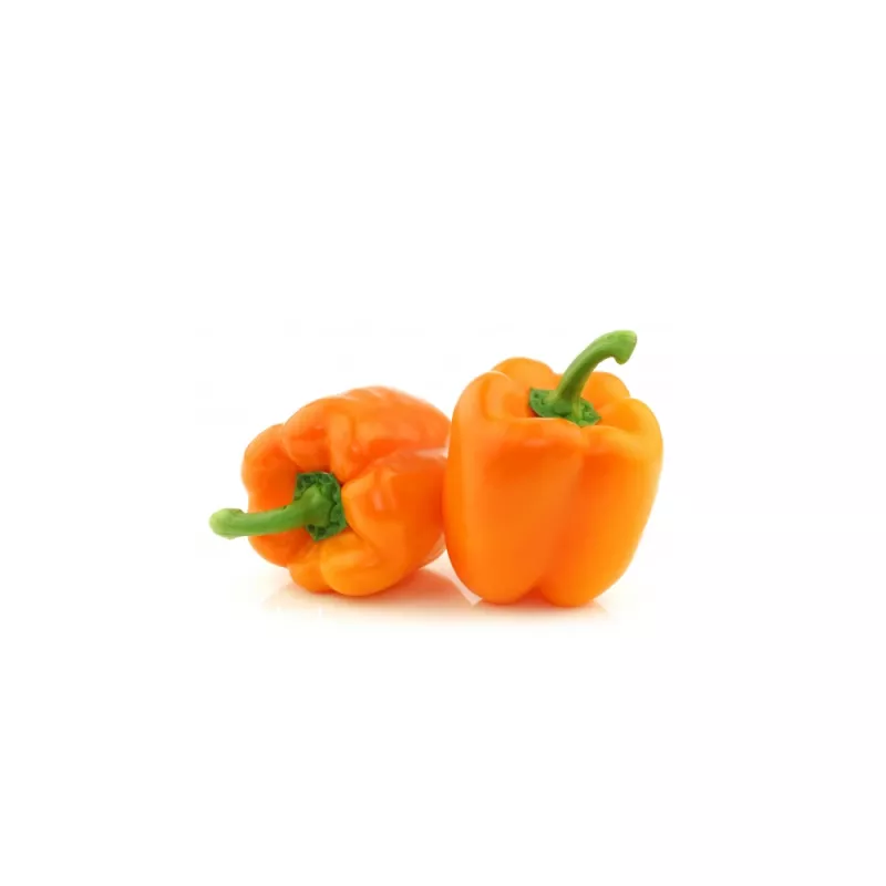 Vegetable seeds Seklos LT Papryka Etiuda — sweet pepper seeds pack 0.5 g