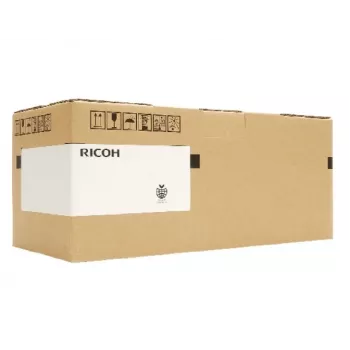 Ricoh RI 1000 Type G1 High Yield (342603) Garment Ink Cartridge, Cyan