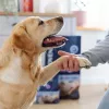 ADDVENA Power of Nature Senior Medium/Large Lamb - dry dog food - 10kg
