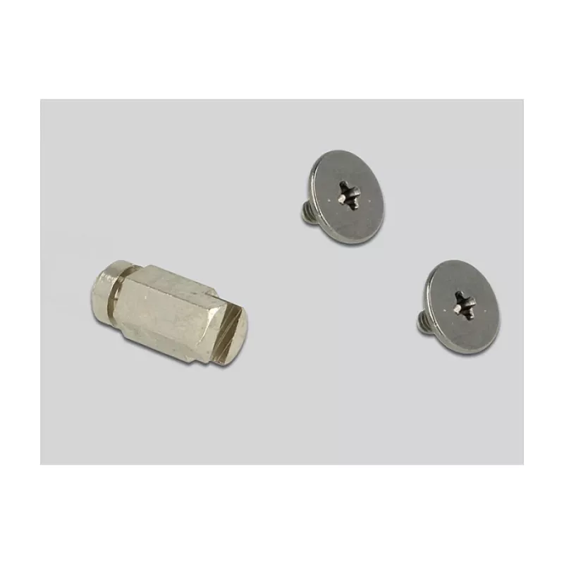 Internal M.2 Adapter DeLOCK 65831