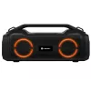 Stereo portable speaker TRACER BigBoy TWS Bluetooth 40W RMS, Bluetooth 5.3, 12h battery, Black