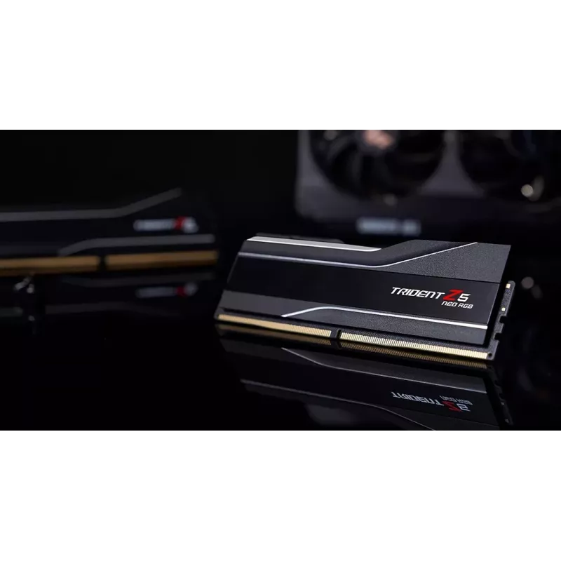 G.Skill Trident Z5 Neo RGB F5-6000J3244G64GX4-TZ5NR memory module 256 GB 4 x 64 GB DDR5 6000 MT/s