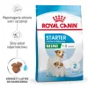 Dry Dog Food Royal Canin Starter Mother & Babydog 1 kg — Chicken, 30% protein, 22% fat