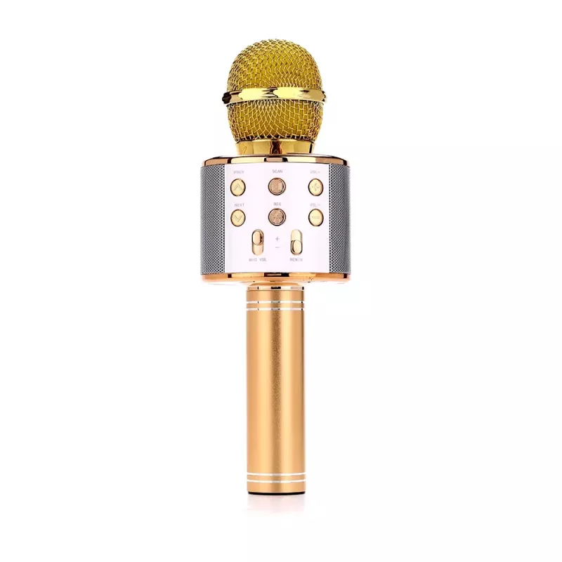 Microphone MANTA MIC10-G Gold cardioid portable — cardioid condenser, handheld design