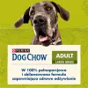 Purina DOG CHOW Large Breed Adult 14 kg Turkey