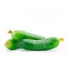 Cucumber Krak F1 Toraf Vegetable Seeds, 5g Package