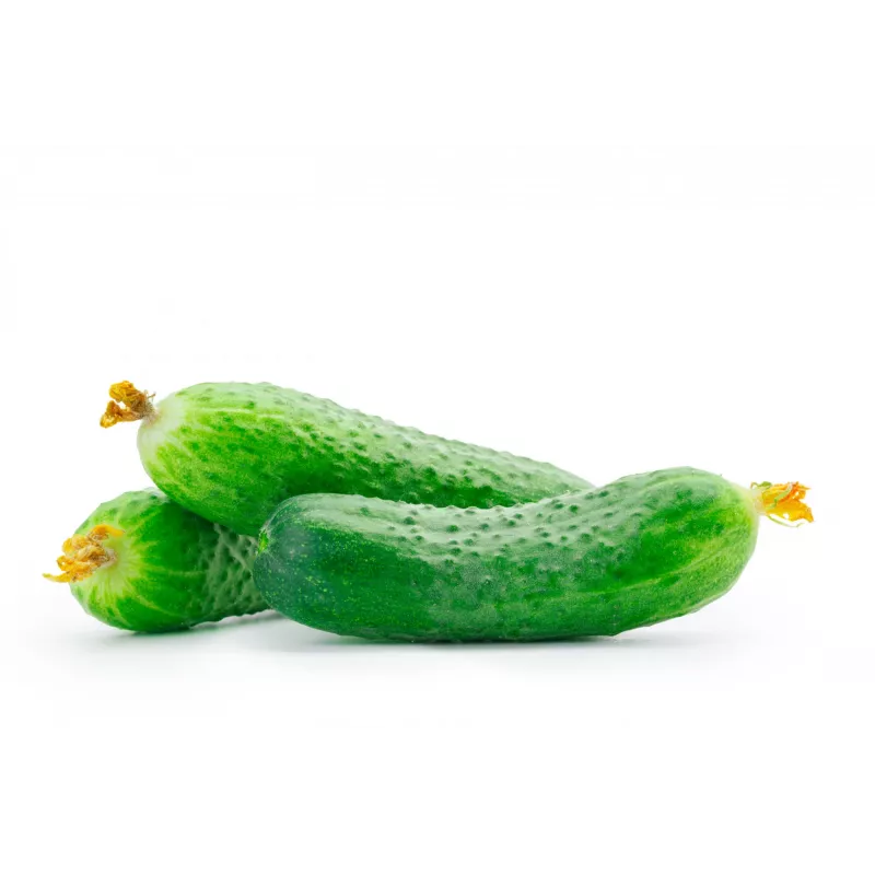 Cucumber Krak F1 Toraf Vegetable Seeds, 5g Package