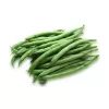 Nomad Green Dwarf Bean Seeds, 50g - Vegetable Seeds