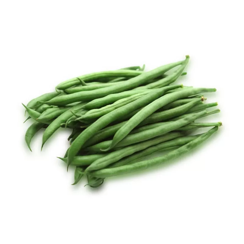 Nomad Green Dwarf Bean Seeds, 50g - Vegetable Seeds