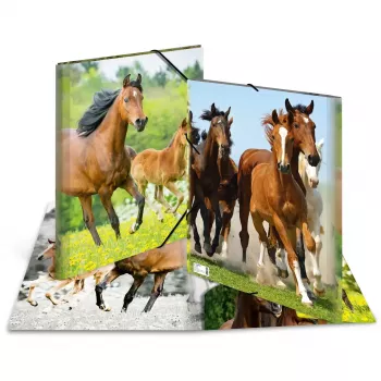 Folder Polypropylene (PP) HERMA 7145 A3 Multicolour