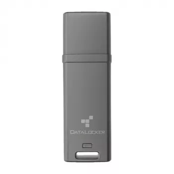 DataLocker 64GB DL GO 256BIT - Flash-Memory - assorted (DLGO-064)