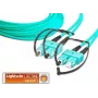 Lightwin LDP-50 SC-SC 4.0 OM3 Fibre Optic Cable 4 m Aqua-Colour (LDP-50 SC-SC 4.0 OM3)