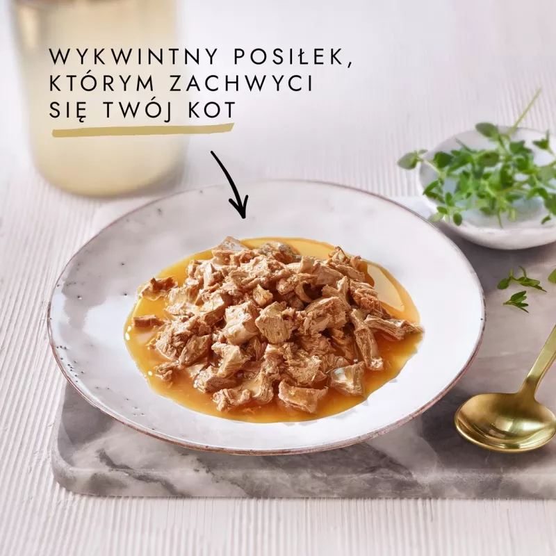 GOURMET GOLD Sauce Delights Chicken 85g