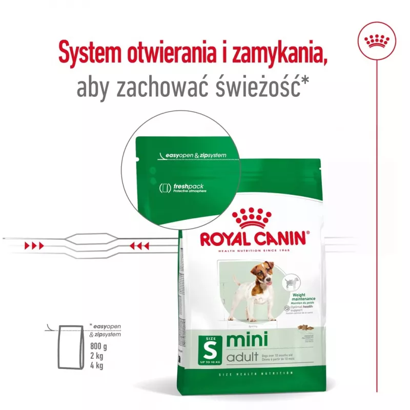 Dry dog food Royal Canin Adult Mini S 8 kg — complete nutrition for small adult dogs