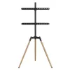 TV Set Accessory Floor Stand 32-65/TRIPOD TVS-65S-01 Gembird