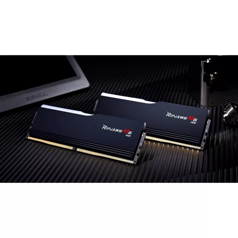 G.skill F5-6400J3239G16GX2-RM5RK Memory Module