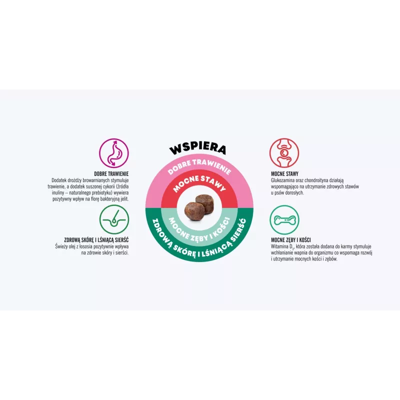 Dry dog food john dog Good Form Adult — Chicken with Beef, 12 kg, grain-free, for small adult dogs
