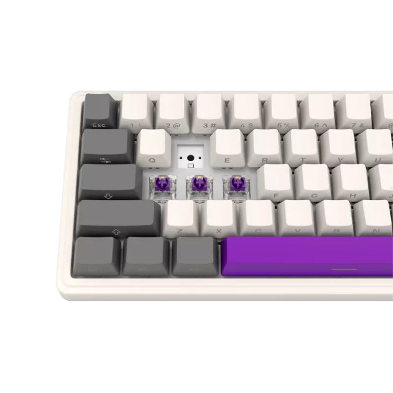 Wireless Mechanical Gaming Keyboard LORGAR KBP70MW 65% Layout Beige