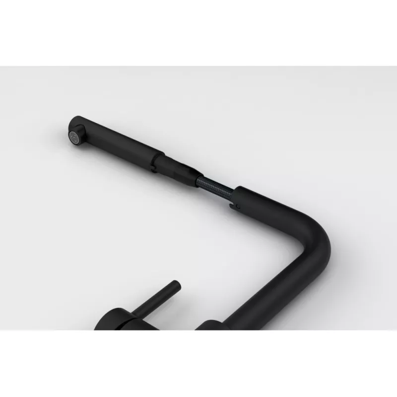 Mixer Kitchen Pull Out Franke Lina Black