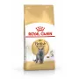 Dry cat food Royal Canin British Shorthair Adult 10 kg — poultry, protein 34%, fat 19%