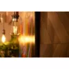 Smart bulb Shelly Vintage ST64 Wi-Fi Transparent 230V