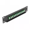 Fiber Optic Patch Panel DeLOCK 10 inch 12 Port LC Duplex green 1U black