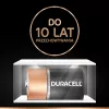 Battery Duracell Basic D (R20) — pack of 2, primary zinc-carbon cells