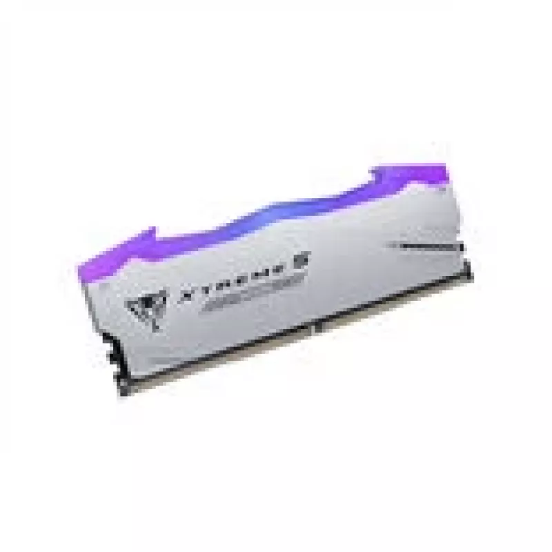 Patriot Viper Gaming RGB XTREME 5 DDR5-8000 RAM, CL 38, Intel XMP 3.0 - 48GB Dual-Kit, Silver