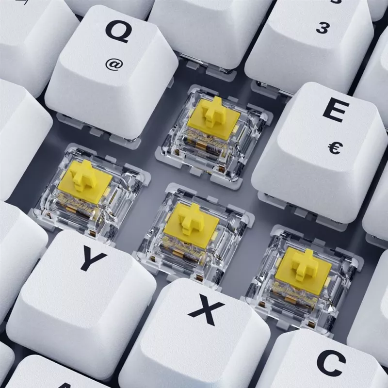Sharkoon SKILLER SGK50 S3 PBT keyboard Gaming USB QWERTZ German White