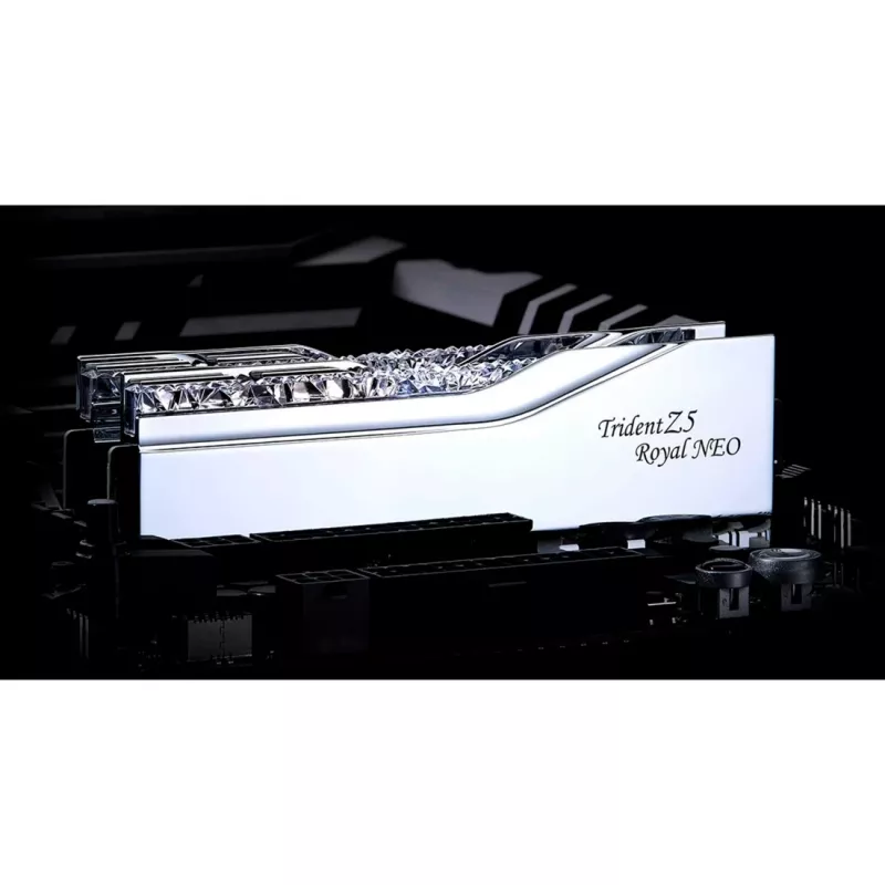 G.skill F5-8000J4048G24GX2-TR5NS Memory Module