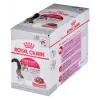 Wet cat food Royal Canin Instinctive 12 x 85 g — poultry, adult, urinary health support