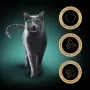 Wet cat food Sheba Chicken Duck Turkey 85 g sachet (80 × 85 g) for adult cats, moisture 86%