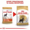 Dry Dog Food Royal Canin Miniature Schnauzer Adult, Poultry, 3 kg, for Small Breeds