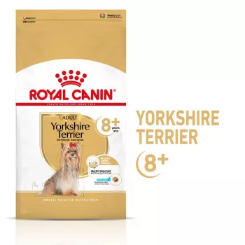 Dry dog food Royal Canin Yorkshire Terrier 8+ 3 kg — poultry, for senior Yorkshire Terriers, protein 29%, fat 18%